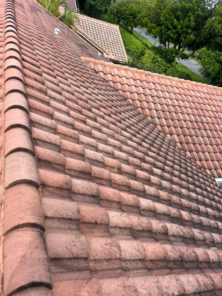 Tile roof with black algae streaks before cleaning