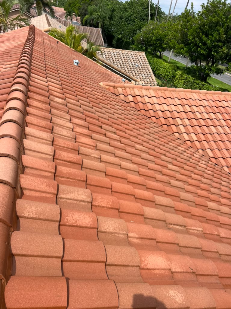 Clean terracotta tile roof after soft washing in Miami